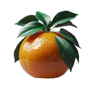 csillogó narancssárga gyűmölcs a., transp.