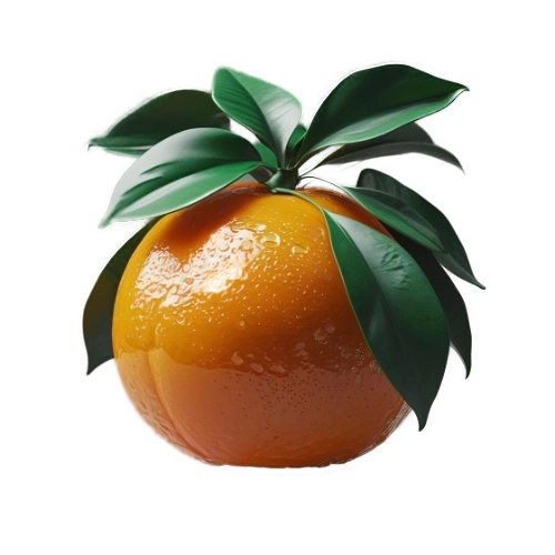 csillogó narancssárga gyűmölcs a., transp.